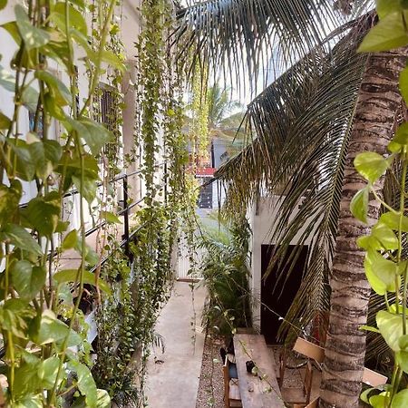 Anana Coliving 호텔 신데 델 카르멘 외부 사진