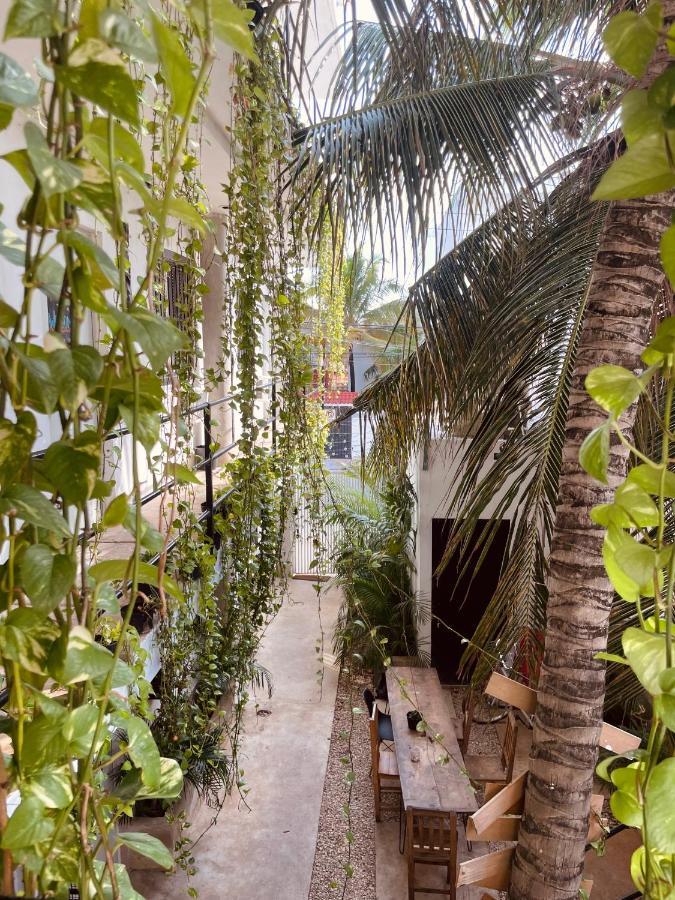 Anana Coliving 호텔 신데 델 카르멘 외부 사진
