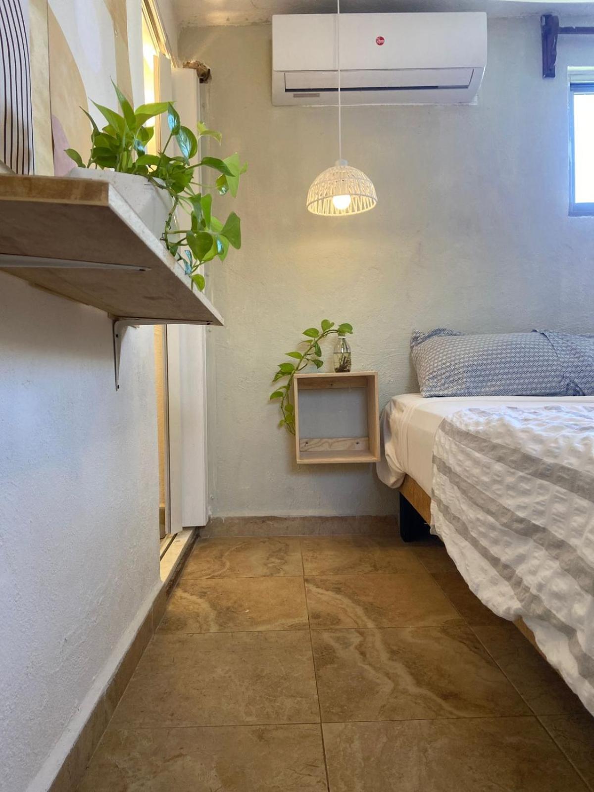 Anana Coliving 호텔 신데 델 카르멘 외부 사진