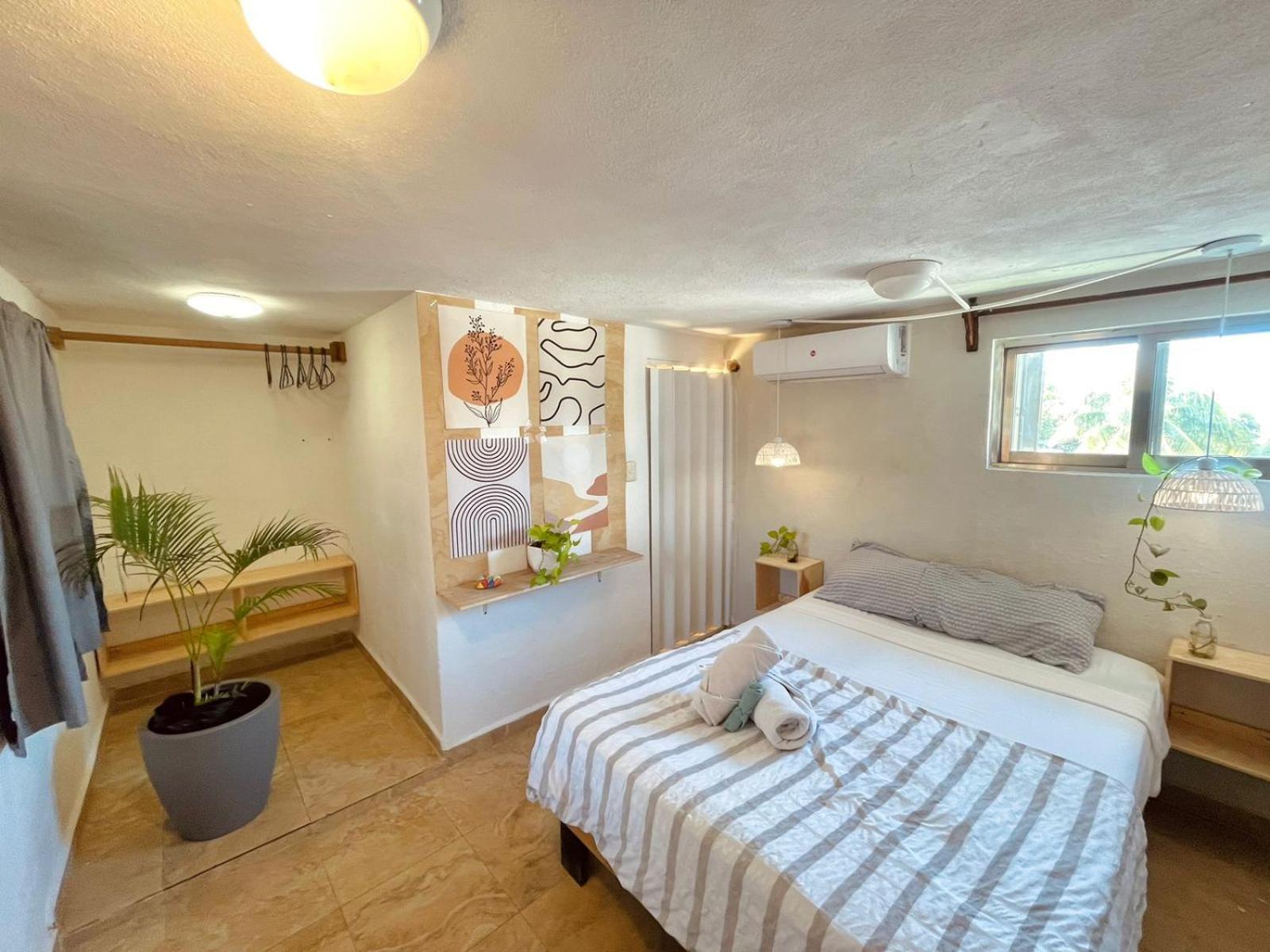 Anana Coliving 호텔 신데 델 카르멘 외부 사진