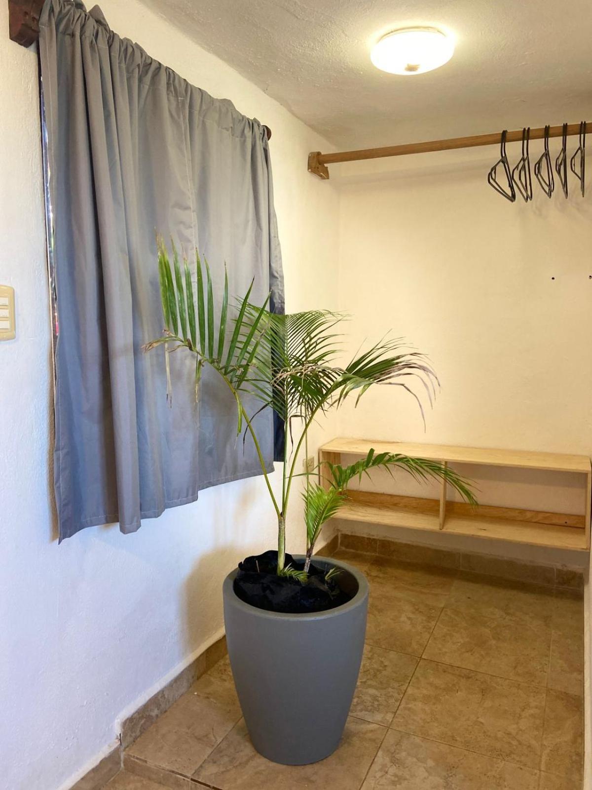 Anana Coliving 호텔 신데 델 카르멘 외부 사진