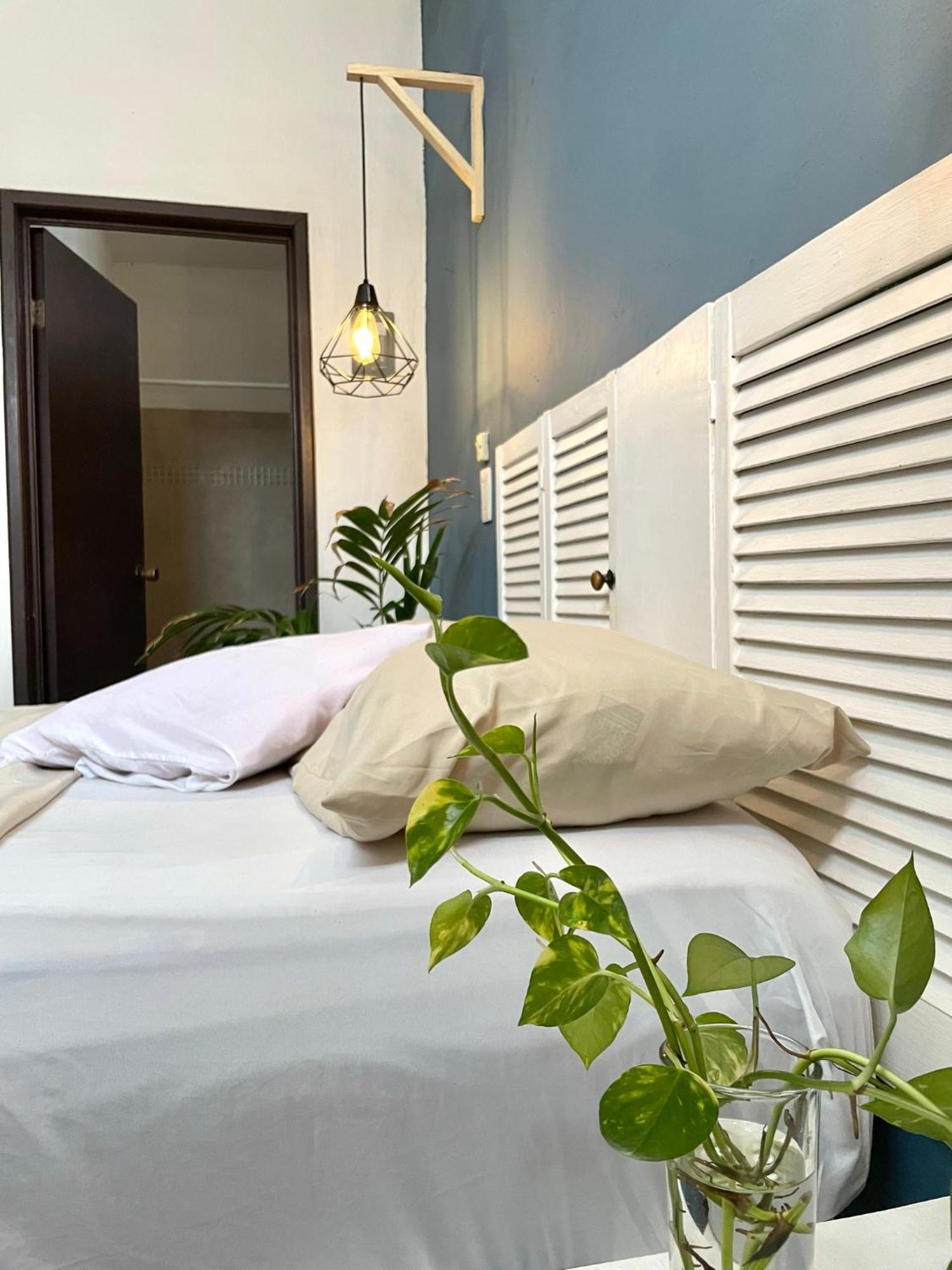 Anana Coliving 호텔 신데 델 카르멘 외부 사진