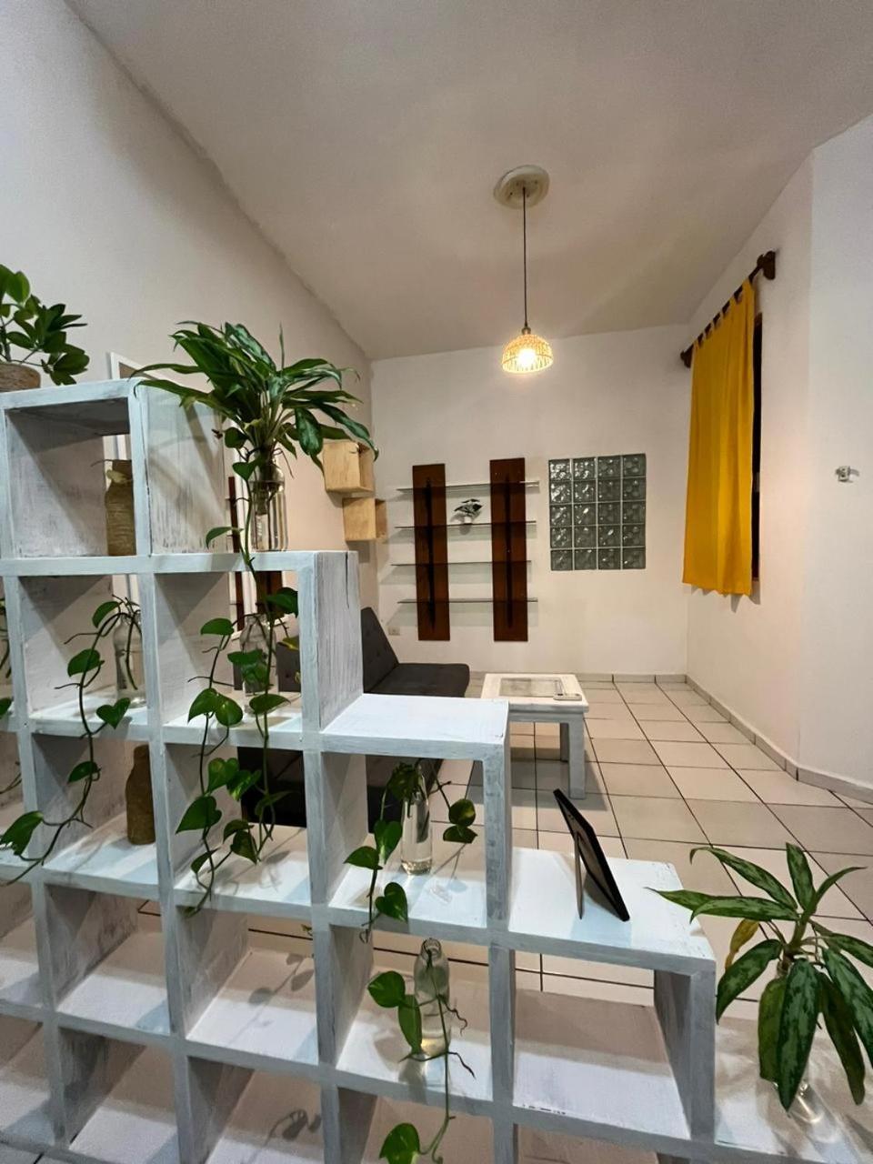 Anana Coliving 호텔 신데 델 카르멘 외부 사진